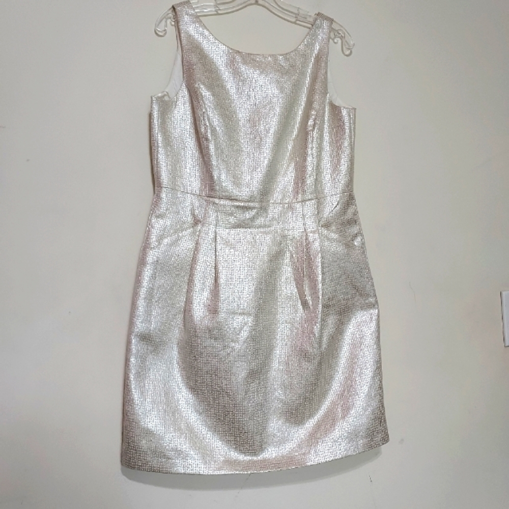 Dalia Gold and Silver Textured Pleated Shift Dress Sz-10  NWOT